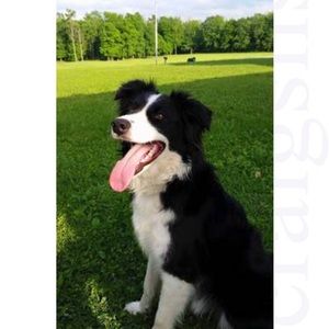 Meet your Posher, Lynda